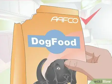 Imagen titulada Feed a Dog Step 3