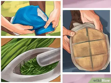 Imagen titulada Treat a Hoof Abscess in Horses Step 10