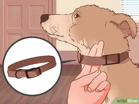 Imagen titulada Stop a Dog from Pulling on Its Leash Step 1