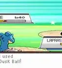 capturar a los tres Perros Legendarios en Pokémon Oro HeartGold y Pokémon Plata SoulSilver