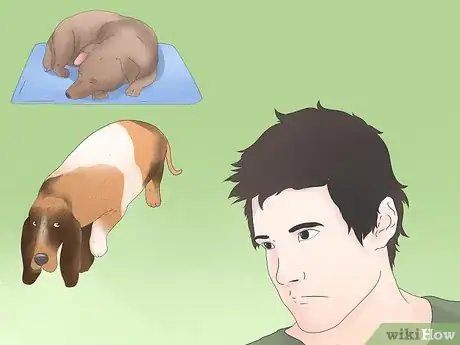Imagen titulada Spot Dog Seizure Symptoms Step 8