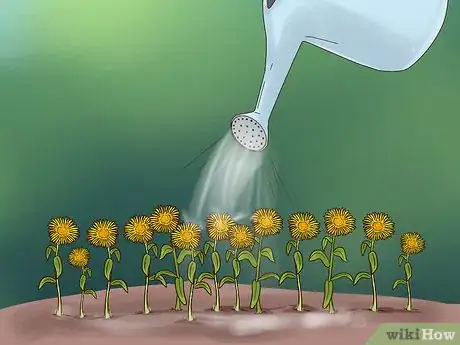 Imagen titulada Grow Flowers from Seed Step 14