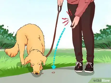 Imagen titulada Stop a Dog from Pulling on Its Leash Step 8