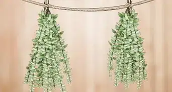 podar una planta de tomillo