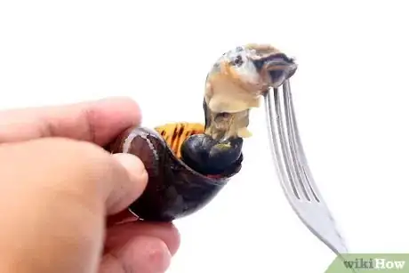 Imagen titulada Prepare Escargot Step 6