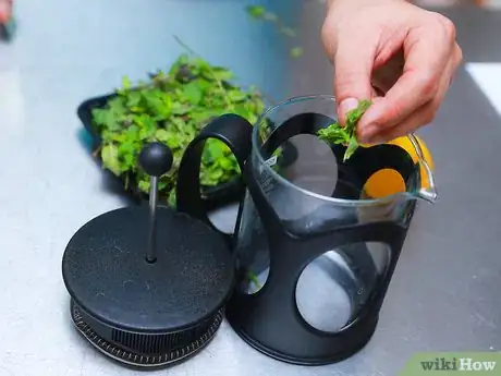 Imagen titulada Make Mint Tea Step 3