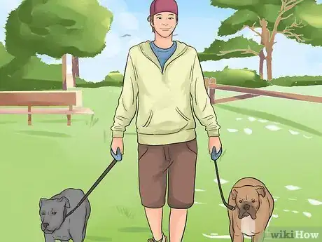 Imagen titulada Introduce a New Dog to Your House and Other Dogs Step 33