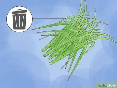 Imagen titulada Harvest Sugar Cane Step 6