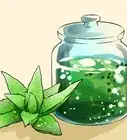 extraer el aloe vera