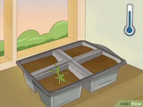 Imagen titulada Thin Out Seedlings Step 4