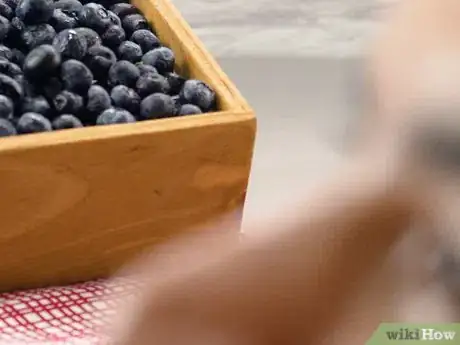 Imagen titulada Eat Blueberries Step 6
