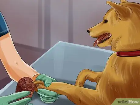 Imagen titulada File Puppy Nails Step 3