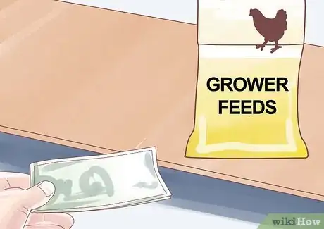 Imagen titulada Feed Chickens Step 6