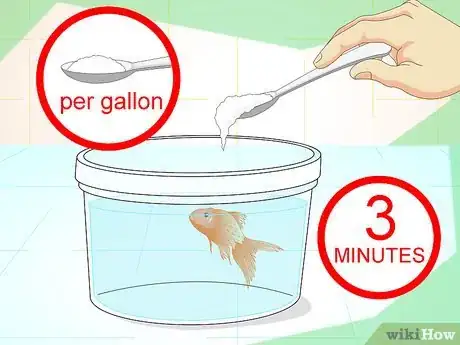 Imagen titulada Revive a Goldfish Step 12