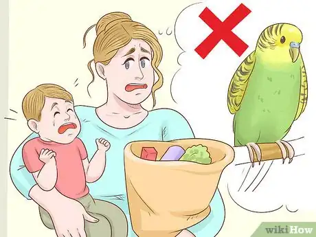 Imagen titulada Know if a Parakeet Is Right for You Step 6