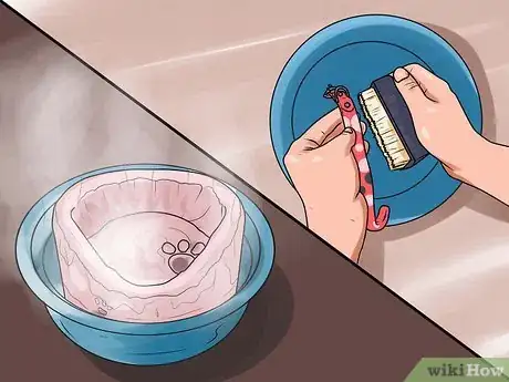 Imagen titulada Identify Mange on Dogs Step 15