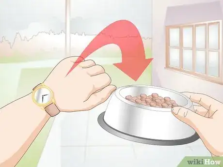 Imagen titulada Create a Feeding Routine for Your Dog Step 2