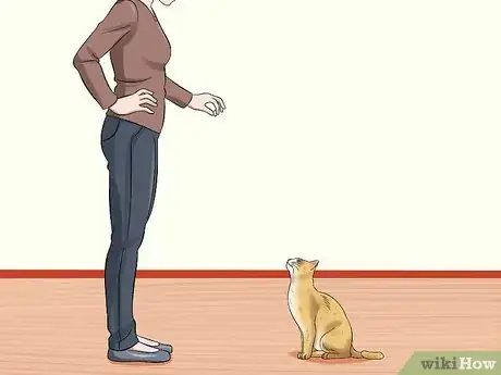 Imagen titulada Keep a Cat from Running out the Door Step 5