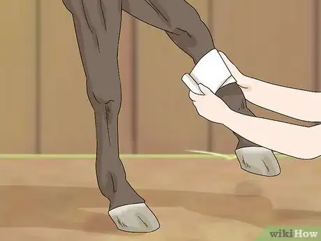 Imagen titulada Treat Edema in Horses Step 2