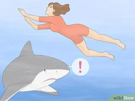 Imagen titulada Get over Your Fear of Sharks Step 5