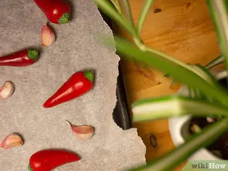 Imagen titulada Make Ghost Pepper Hot Sauce Step 11