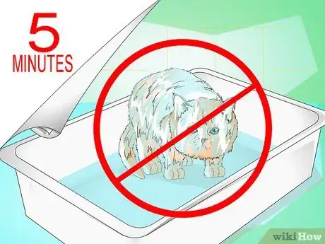 Imagen titulada Give a Kitten a Bath Step 13
