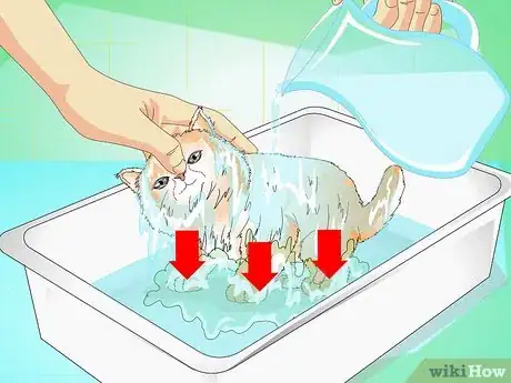 Imagen titulada Give a Kitten a Bath Step 12