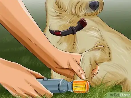Imagen titulada File Puppy Nails Step 4