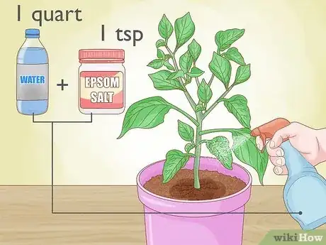 Imagen titulada Grow Bell Peppers Step 15