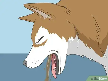 Imagen titulada Know When Your Dog is Sick Step 8