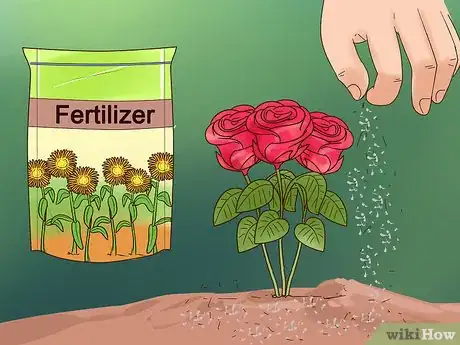 Imagen titulada Grow Flowers from Seed Step 16