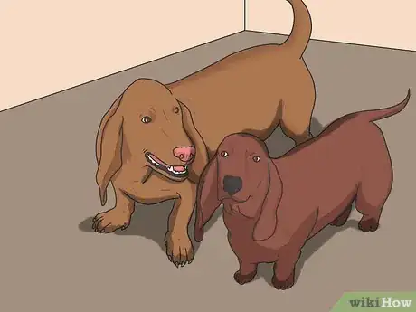 Imagen titulada Introduce a New Dog to Your House and Other Dogs Step 27