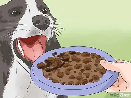 Imagen titulada Introduce a New Dog to Your House and Other Dogs Step 14