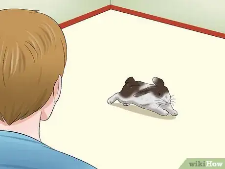 Imagen titulada Stop a Rabbit from Sneezing Step 10