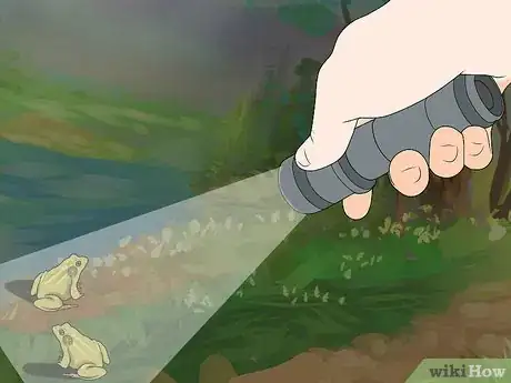 Imagen titulada Catch a Frog Step 12