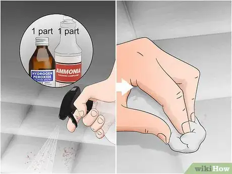 Imagen titulada Get Rid of Bed Bug Stains Step 12