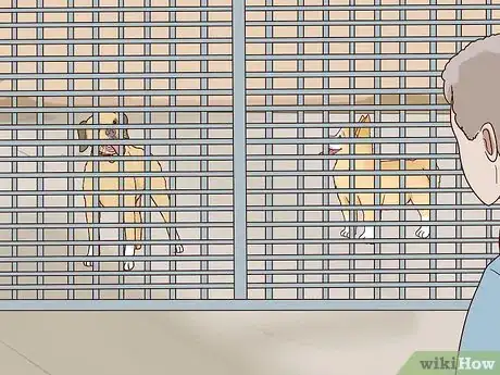 Imagen titulada Find a Lost Dog Step 22