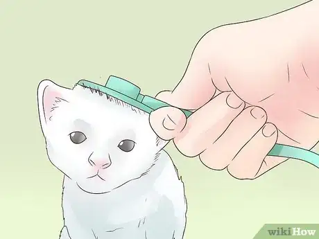 Imagen titulada Treat Epilepsy in Cats Step 6