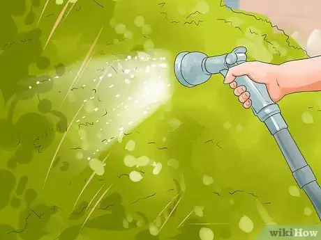 Imagen titulada Keep Fleas Off Dogs Step 17