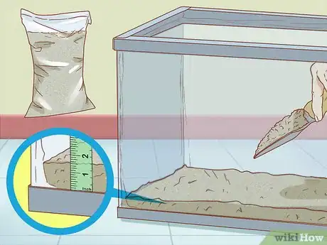 Imagen titulada Care for Triops Step 3