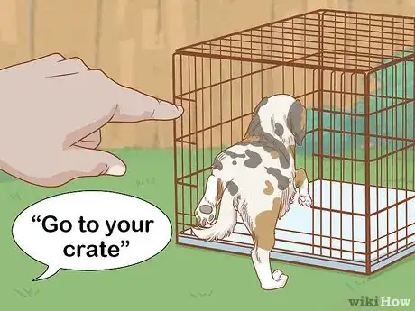 Imagen titulada Keep an Australian Shepherd Busy Step 12