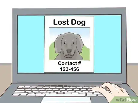 Imagen titulada Find a Lost Dog Step 24