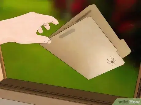Imagen titulada Get Spiders Out of Your House Without Killing Them Step 5