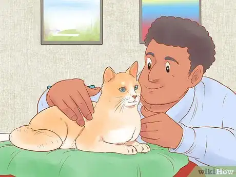 Imagen titulada Administer Insulin to a Cat Step 10