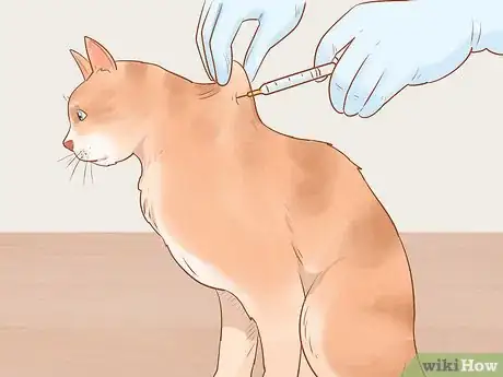 Imagen titulada Administer Insulin to a Cat Step 14