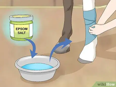Imagen titulada Treat Edema in Horses Step 7