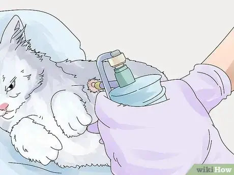 Imagen titulada Diagnose and Treat Benign Tumors in Cats Step 11