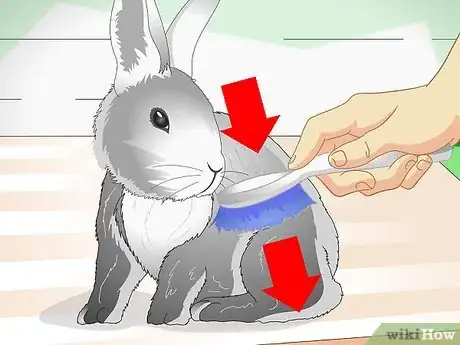Imagen titulada Keep Pet Rabbits Cool Step 6