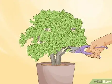 Imagen titulada Choose Plants for Good Feng Shui Step 15