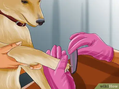 Imagen titulada File Puppy Nails Step 9